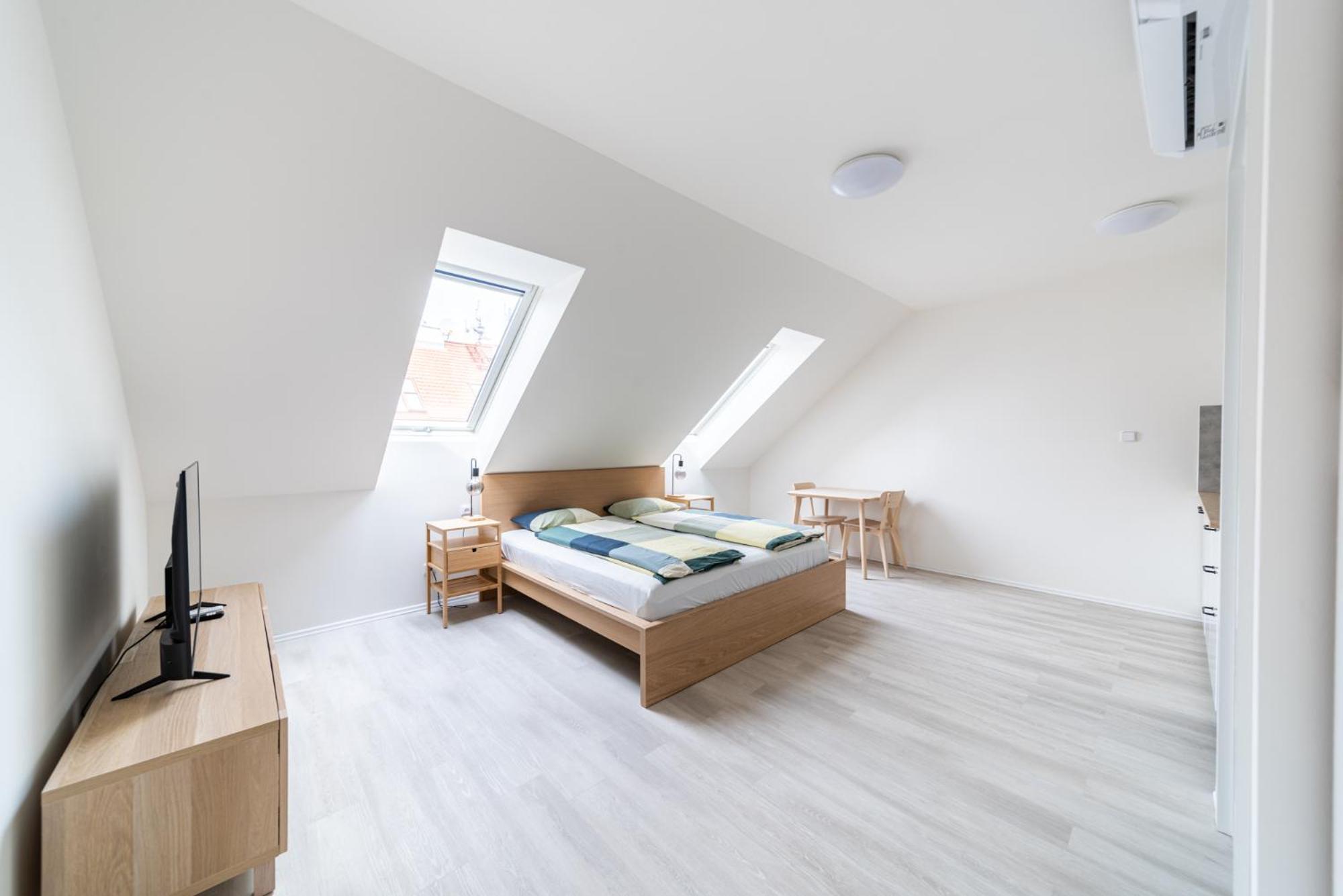 Borivojova 63 Apartmán *
